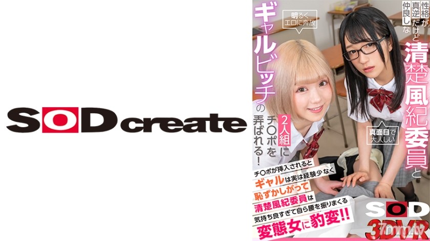 1073DSVR-1136 【VR】性格が真逆だけど仲良しな清楚風紀委員とギャルビッチの2人組にチ○ポを弄ばれる！ チ○ポが挿入されるとギャルは実は経験が少なく恥ずかしがって清楚風紀委員は気持ち良すぎて自ら腰を振りまくる変態女に豹変！！ - AC Server(Part C)