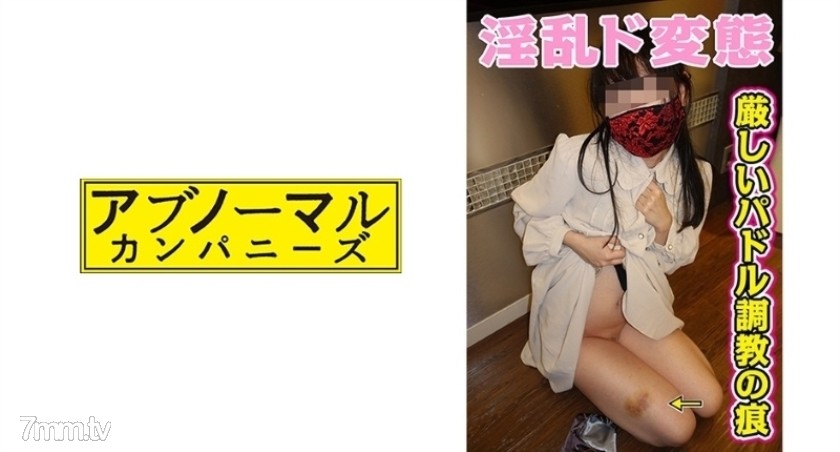 481SACZ-166 響子11 - ST Server